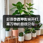 新赛季西甲即将开打,莱万特的目标只有一个:活着 新赛季西甲即将开打,莱万特的目标只有一个:活着