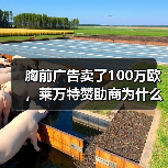 胸前广告卖了100万欧，莱万特赞助商为什么愿意掏钱？