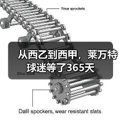 从西乙到西甲,莱万特球迷等了365天 从西乙到西甲,莱万特球迷等了365天
