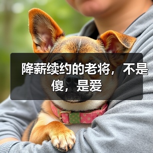 降薪续约的老将，不是傻，是爱