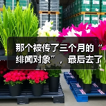 那个被传了三个月的“绯闻对象”，最后去了西乙