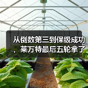 从倒数第三到保级成功,莱万特最后五轮拿了十分 从倒数第三到保级成功,莱万特最后五轮拿了十分