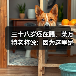 三十八岁还在踢,莱万特老将说:因为这里是家 三十八岁还在踢,莱万特老将说:因为这里是家