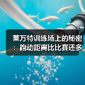 莱万特训练场上的秘密:跑动距离比比赛还多 莱万特训练场上的秘密:跑动距离比比赛还多