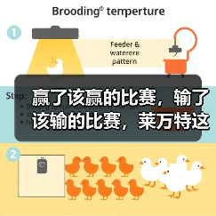 赢了该赢的比赛,输了该输的比赛,莱万特这个赛季不亏 赢了该赢的比赛,输了该输的比赛,莱万特这个赛季不亏