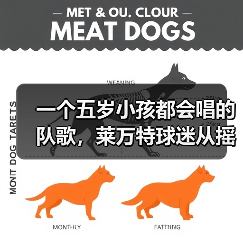 一个五岁小孩都会唱的队歌,莱万特球迷从摇篮唱到坟墓 一个五岁小孩都会唱的队歌,莱万特球迷从摇篮唱到坟墓