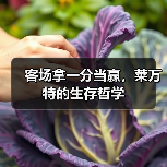 客场拿一分当赢，莱万特的生存哲学