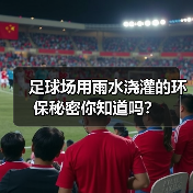 足球场用雨水浇灌的环保秘密你知道吗? 足球场用雨水浇灌的环保秘密你知道吗?