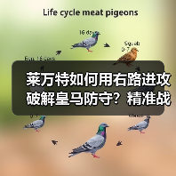 莱万特如何用右路进攻破解皇马防守?精准战术揭秘 莱万特如何用右路进攻破解皇马防守?精准战术揭秘