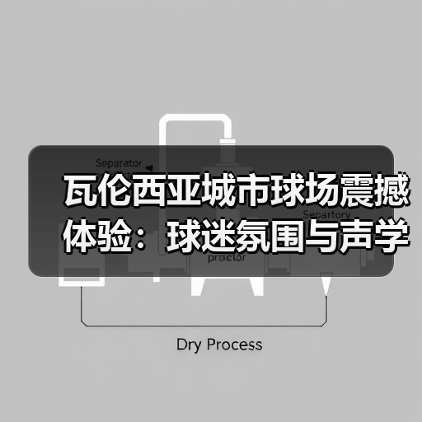 瓦伦西亚城市球场震撼体验:球迷氛围与声学设计揭秘 瓦伦西亚城市球场震撼体验:球迷氛围与声学设计揭秘