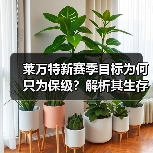 莱万特新赛季目标为何只为保级?解析其生存之道 莱万特新赛季目标为何只为保级?解析其生存之道