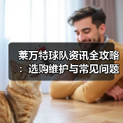 莱万特球队资讯全攻略：选购维护与常见问题解析2026