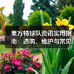 莱万特球队资讯实用指南：选购、维护与常见问题解析