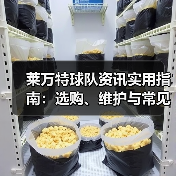 莱万特球队资讯实用指南:选购、维护与常见问题解析 莱万特球队资讯实用指南:选购、维护与常见问题解析